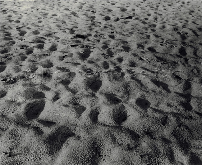 paradise-photography-landscape-fine-art-4×5-graflex-endless-sands